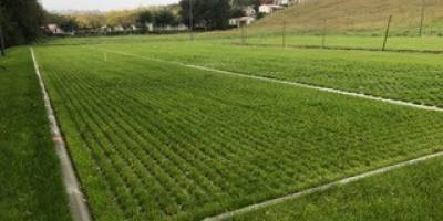 BIDART - Aménagement d'un parking